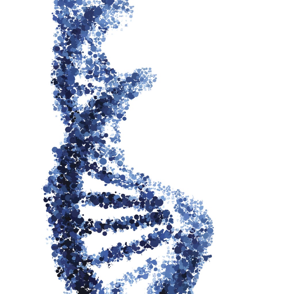 Cómo mejorar nuestra Edad biológica