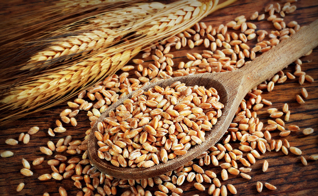 Sensibilidad al gluten