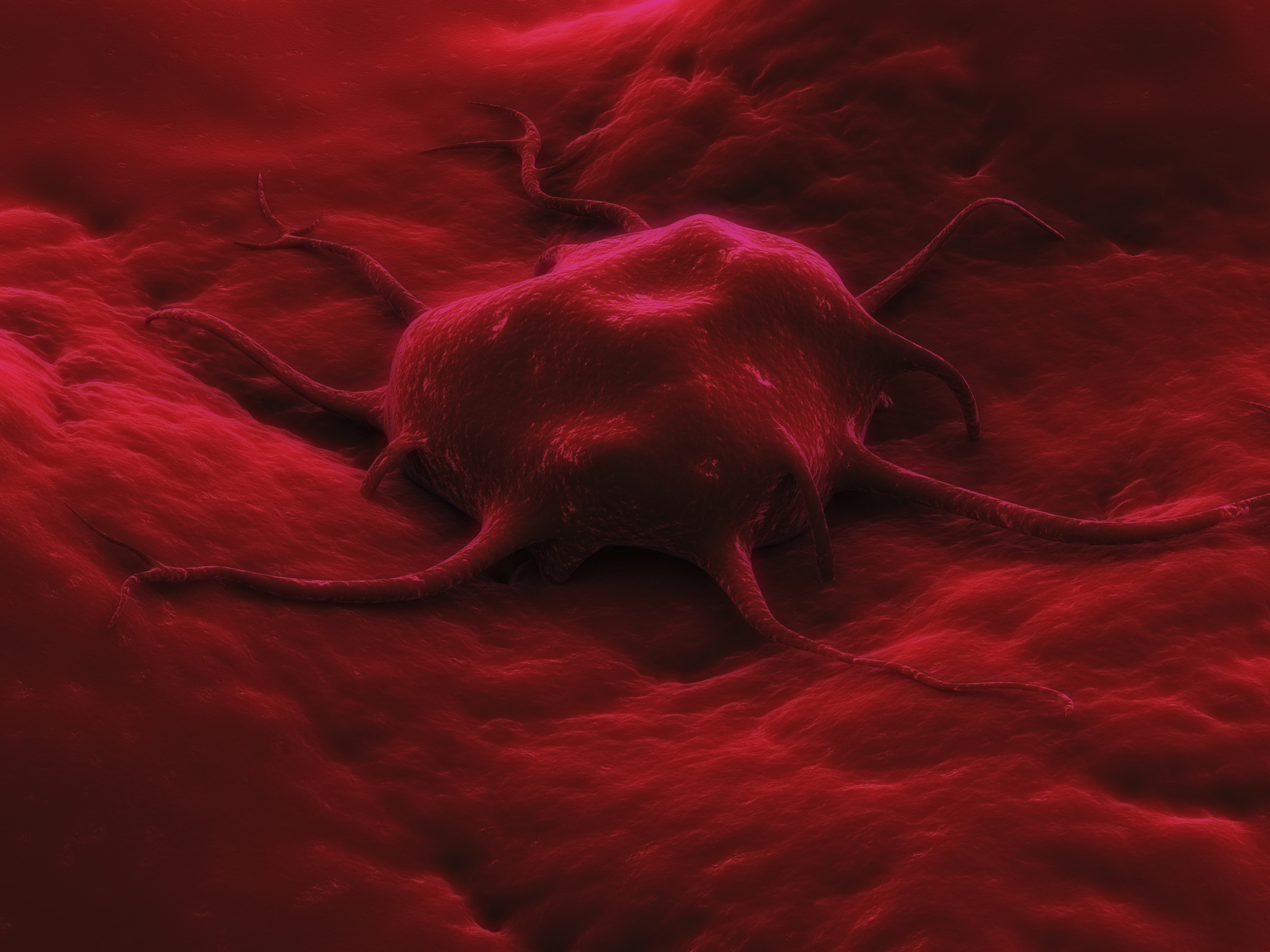 Oncoprevención, en clínica Neolife