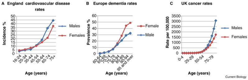 El futuro de la medicina Age Manegement Medicine.