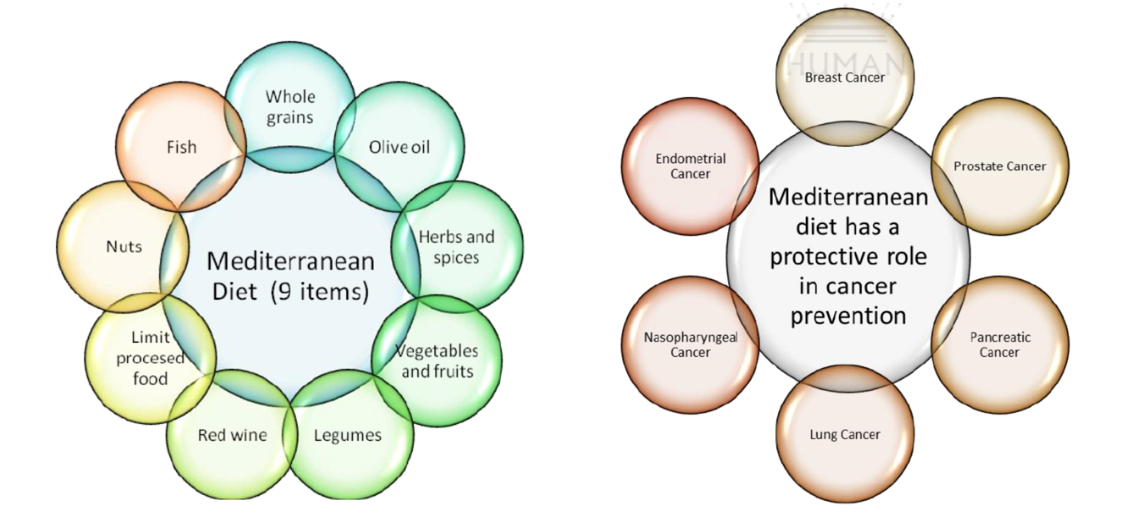 Mediterranean diet