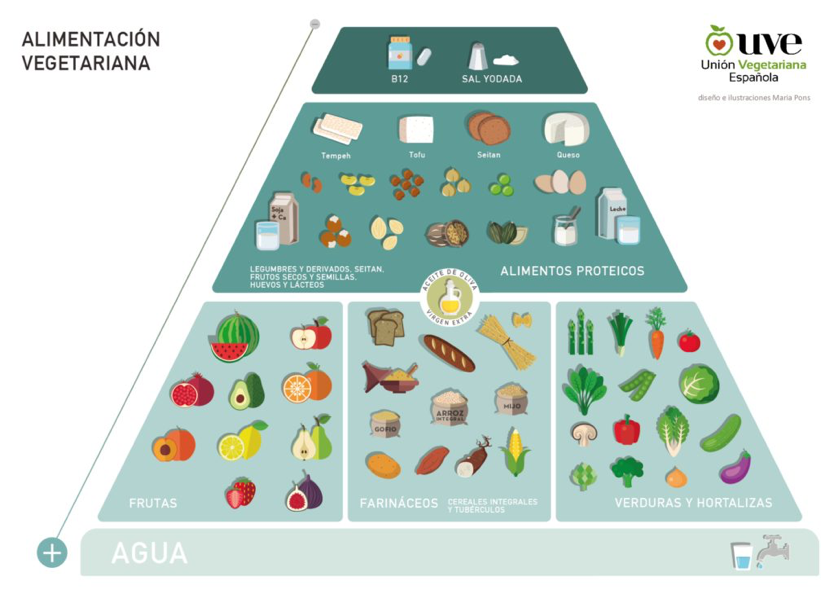 Alimentación vegetariana