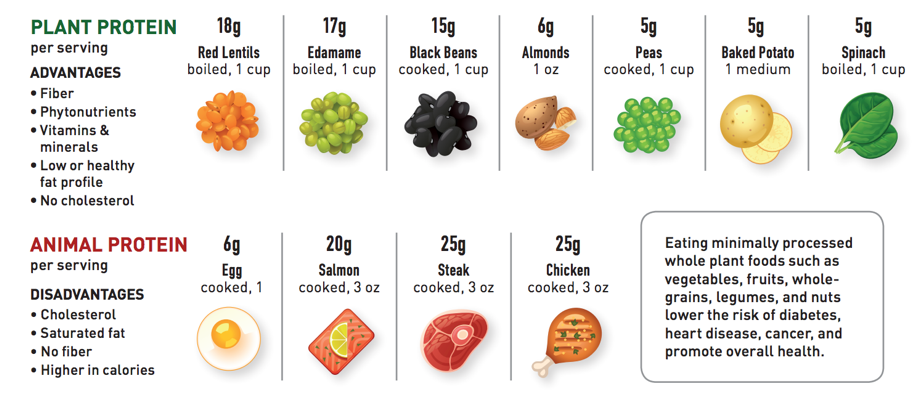 Vegetarian Diet