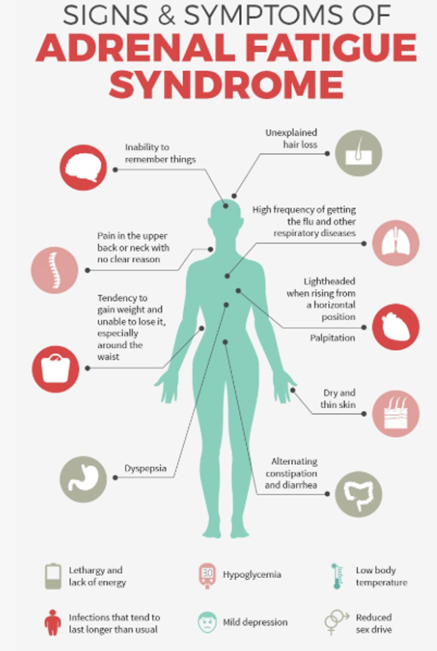 adrenal fatigue