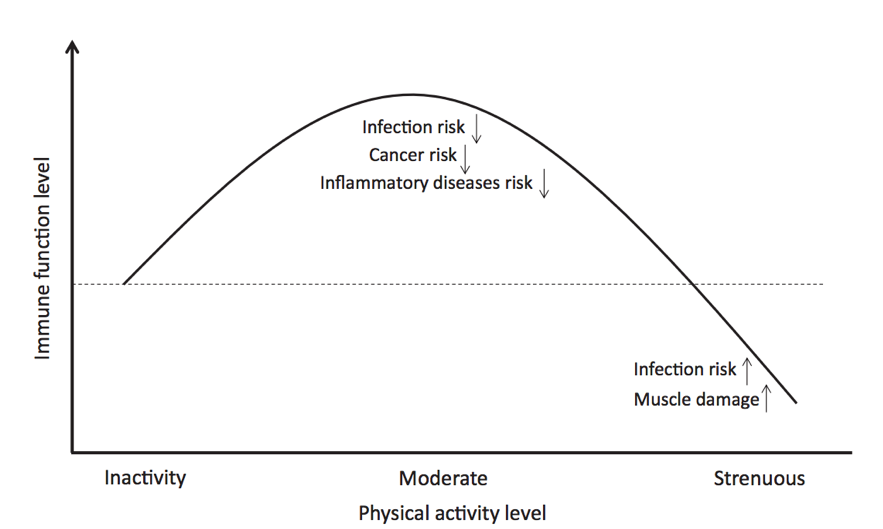 physical activity and coronavirus