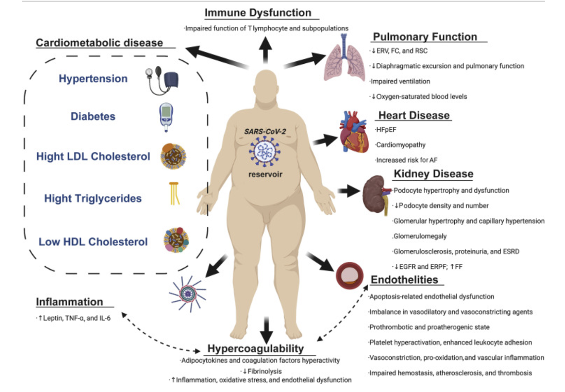 obesity and COVID