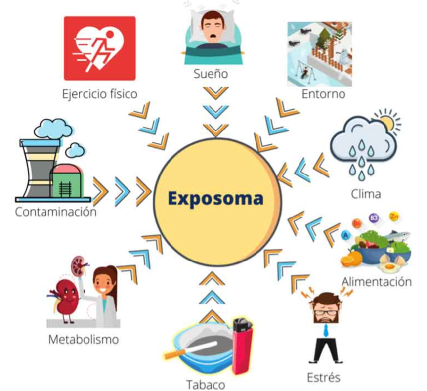 Exposoma