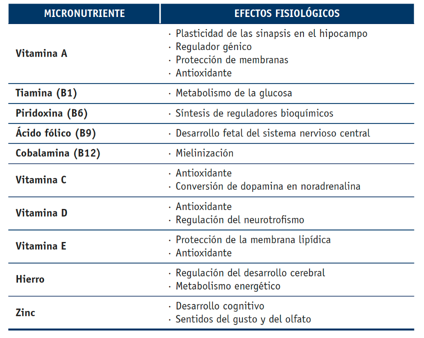 Efectos fisiológicos de los micronutrientes en el cerebro