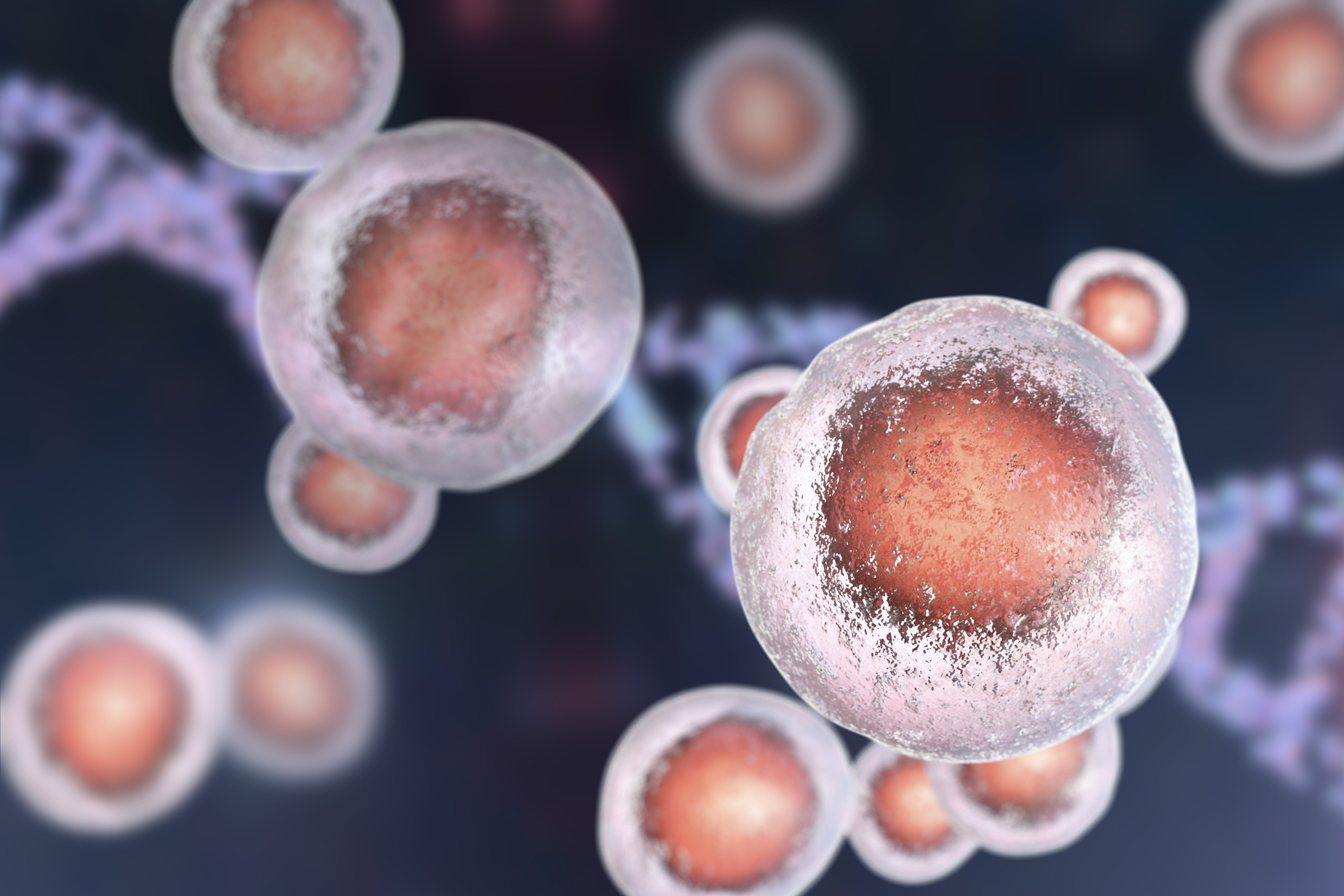 Mitocondria y disbiosis en la base de la enfermedad por COVID-19