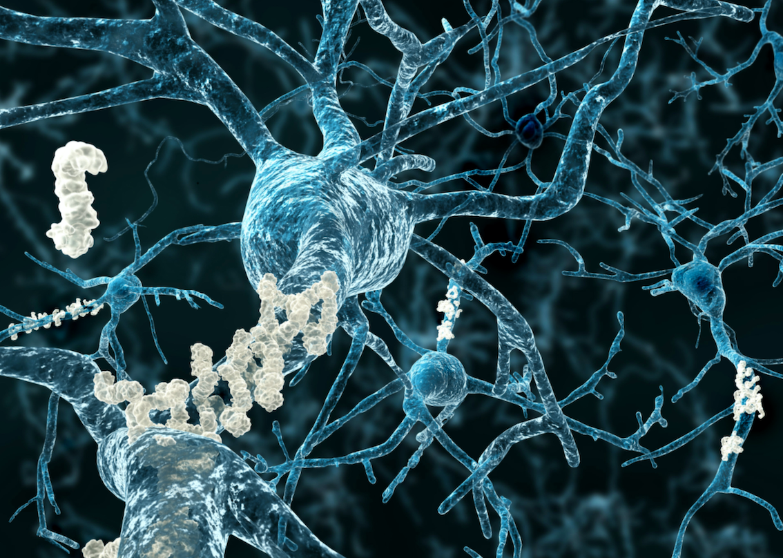 Estradiol y envejecimiento cerebral