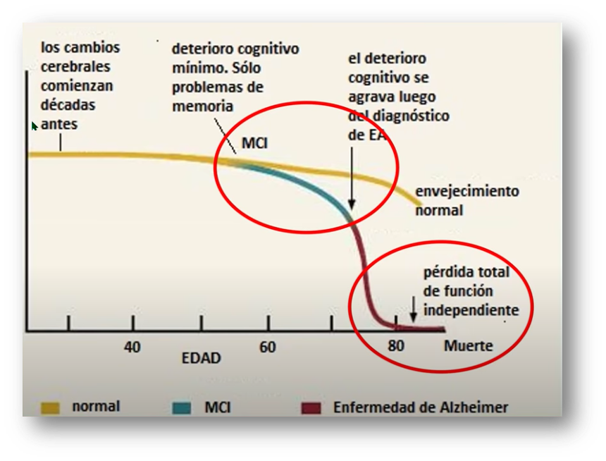 Melatonin and COVID