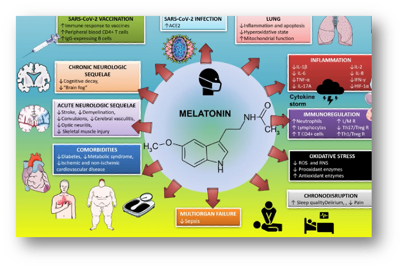 Melatonin and COVID