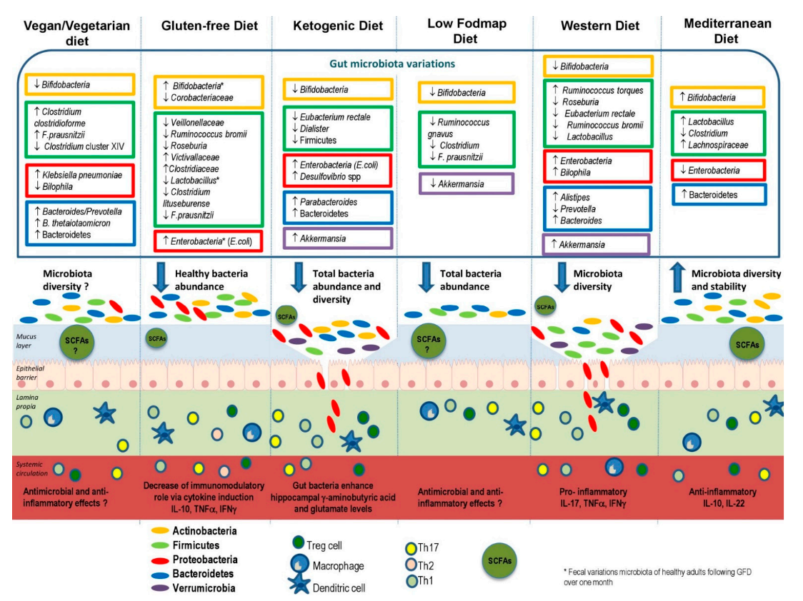 enfermedades intestinales y disbiosis