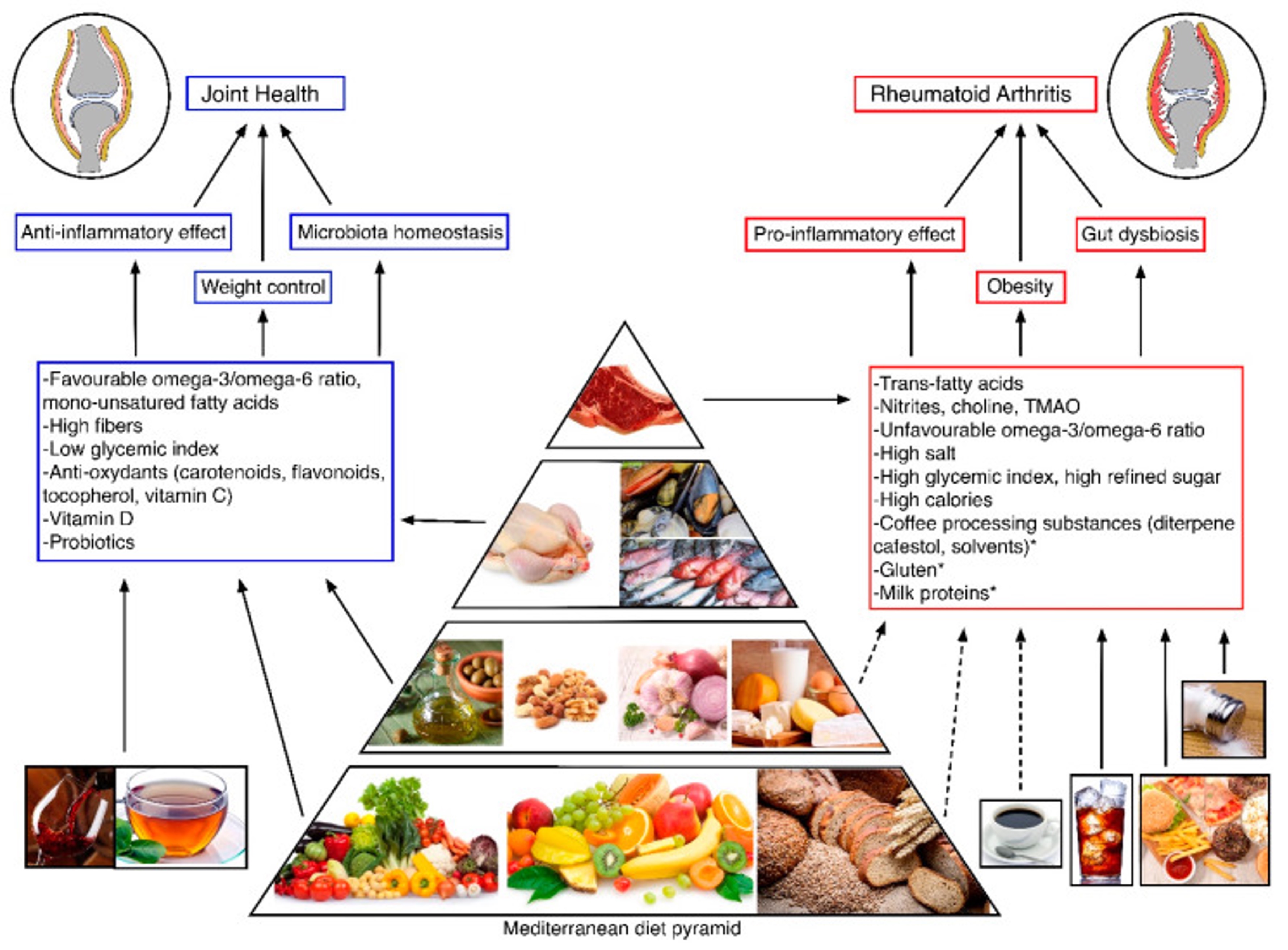 Nutrición y trastornos del sistema inmune