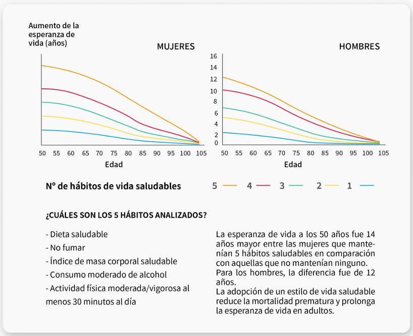 Ejercicios de fuerza