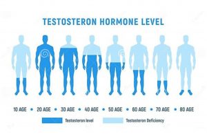 La Terapia de Reemplazo Hormonal Bioidéntica aumenta los niveles de hormonas sexuales durante la andropausia, lo que supone una mejora en la calidad de vida de los hombres.