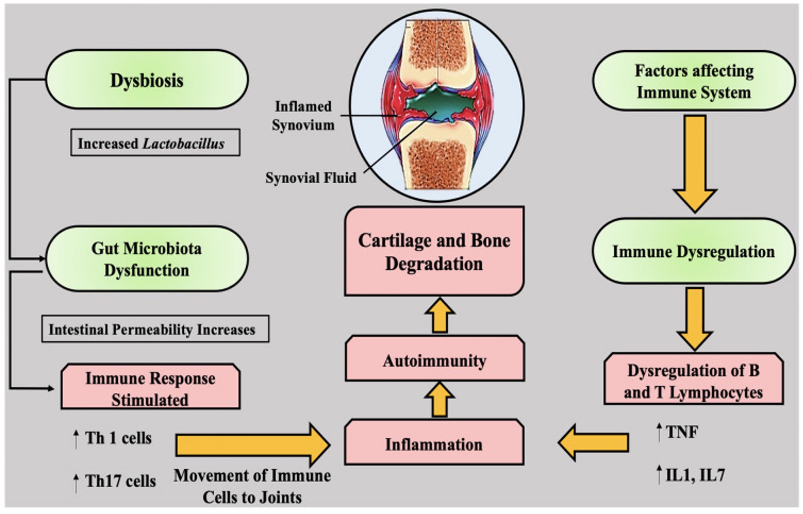 artritis reumatoide