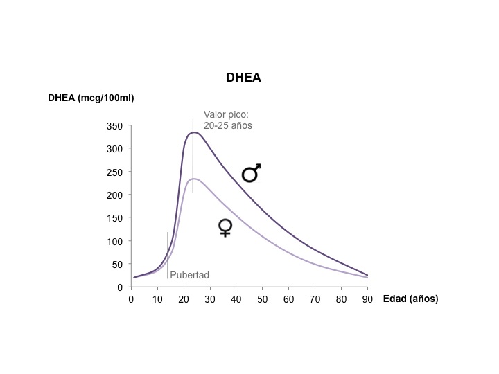 Diapositiva1