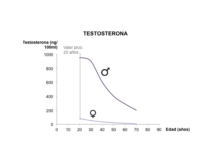 Diapositiva2