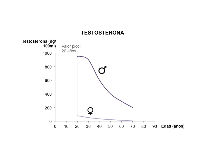 Diapositiva2