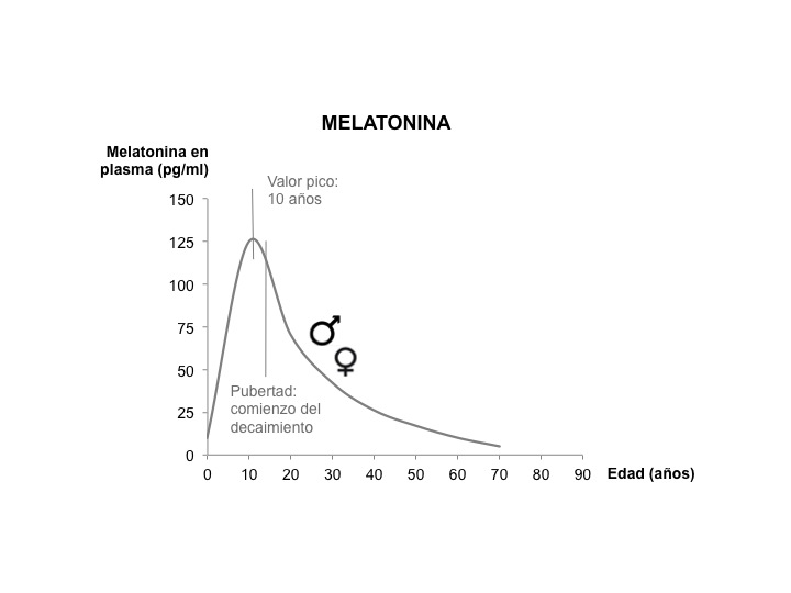 Diapositiva4