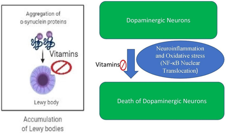 Vitaminas