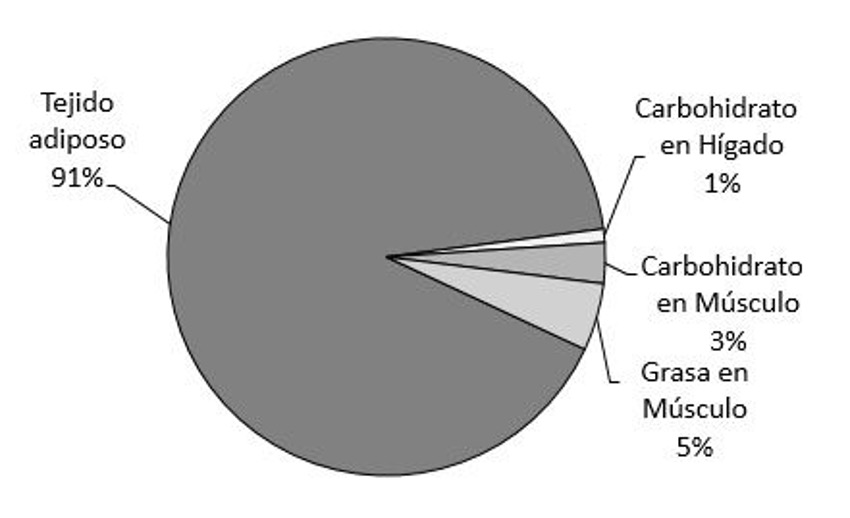 distribución energia almacenada