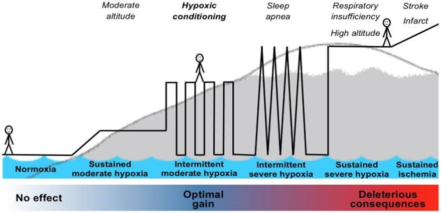 hormesis