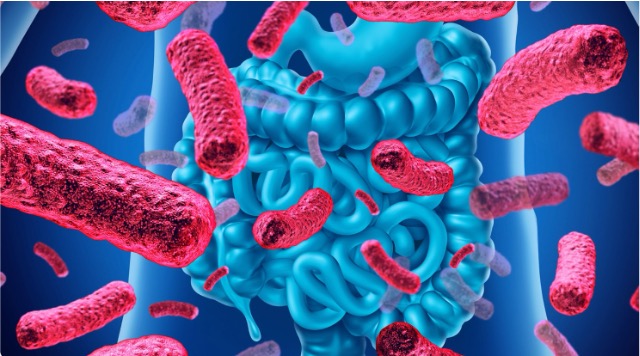 microbiota