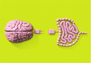 Microbiota