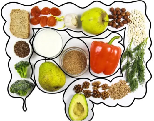 microbiota