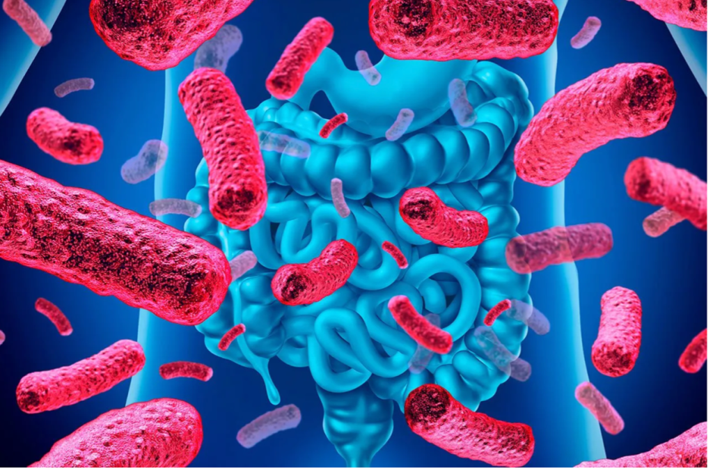 Microbiota