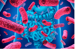 Microbiota
