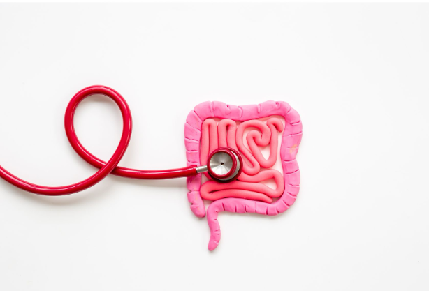 microbiota