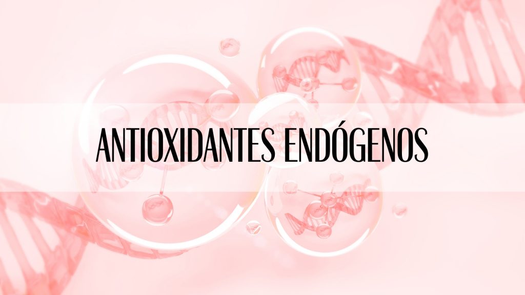 Antioxidantes endógenos