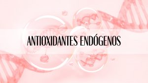 Antioxidantes endógenos