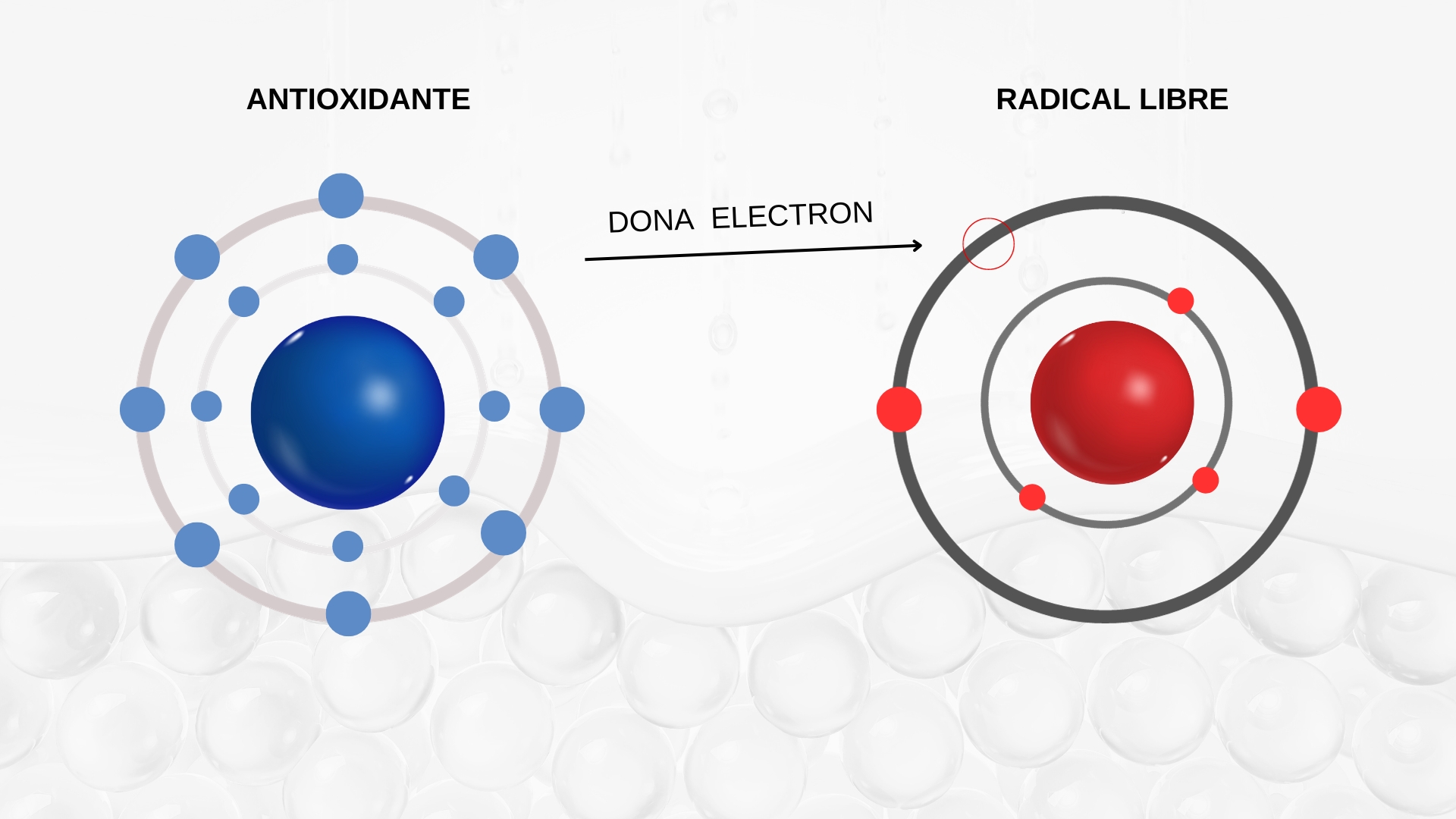 antioxidantes endógenos