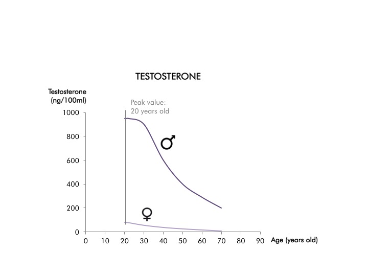 Testosterona