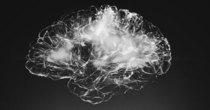 brain