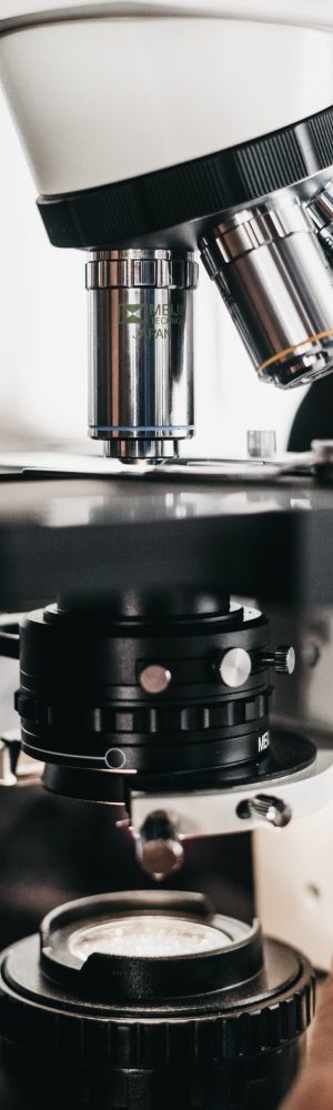 misael-moreno-fN6K30xtiKE-unsplash